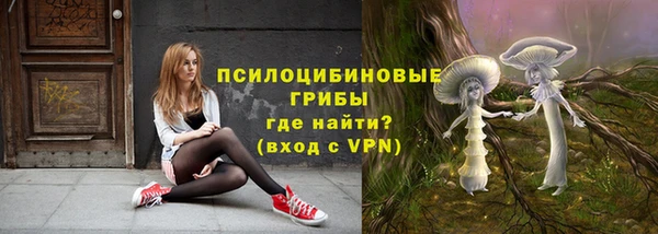 трава Осинники