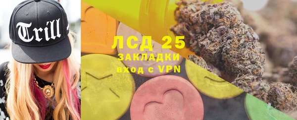трава Осинники