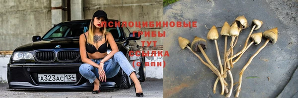 каннабис Осташков