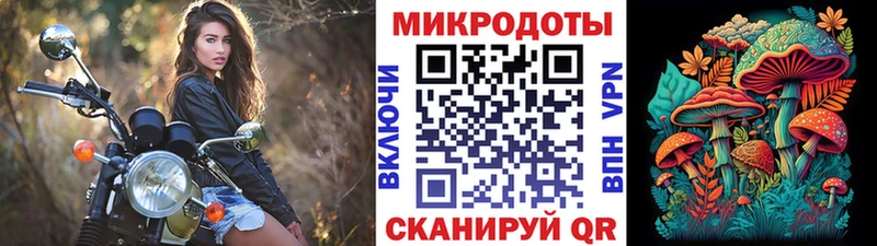 KRAKEN вход  Россошь  Галлюциногенные грибы мицелий 