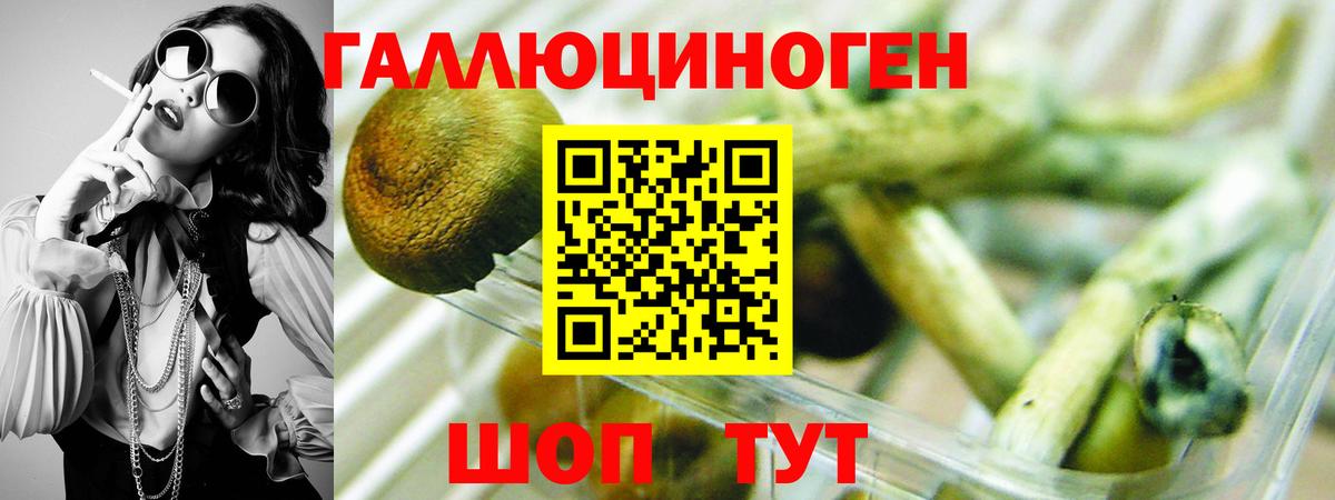 Галлюциногенные грибы Psilocybe  Вход с VPN  Псилоцибиновые грибы GOLDEN TEACHER  Россошь 